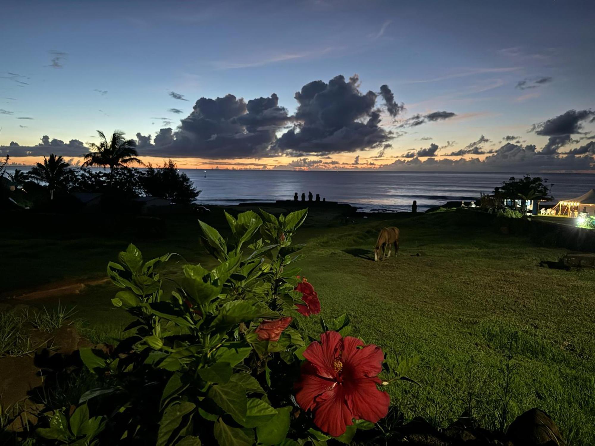 Cabanas Tangaroa Y Hamea Villa Hanga Roa Exteriör bild